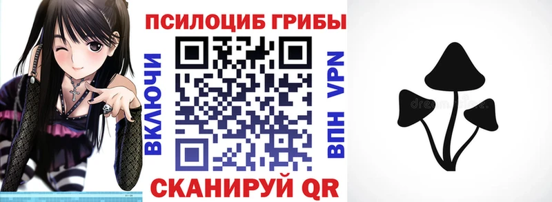 kraken рабочий сайт  Мензелинск  Псилоцибиновые грибы мицелий 