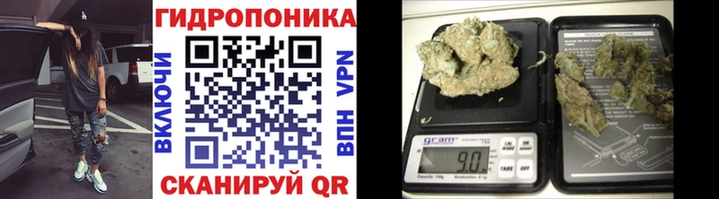 Бошки Шишки план где можно купить наркотик Мензелинск